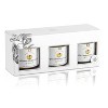 Gourmanity All Natural, Non-GMO, Savory Jam Gift Set, Royal Preserve Confits, Onion Jam, Lingonberry Jam & Mango Chutney - 6.35oz - 2 of 4