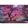 Trends International Pink Tree 2 by Moises Levy Unframed Wall Poster Prints - 4 of 4