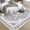 Area Rug,Rugs for Living Room,Washable Vintage Rug,Non-Slip Low Pile Throw Soft Rugs with Rubber Backing,Washable Rugs,Kitchen Rugs - 2 of 4