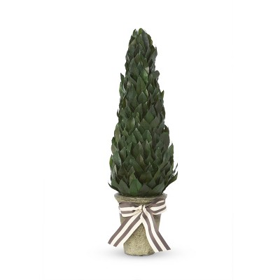 Park Hill Collection Lemon Leaf Cone Topiary 23"