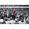 Trends International Tiger Woods - The Tiger Effect Unframed Wall Poster Prints - 4 of 4