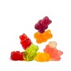 Albanese World's Best True to Fruit Gummi Bears – 7.75oz - 3 of 4