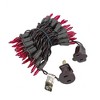 Novelty Lights 50 Light Incandescent Mini Christmas String Lights Brown Wire 11 Feet - 2 of 4