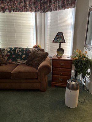 Guest review image 1 of 1, zoom in