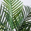HomeStock  6 ft. Artificial Palm Tree in Pot for Indoor/Outdoor - 3 of 4