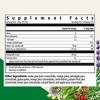 Floradix Ashwagandha Liquid Herbal & Vitamin Formula - Stress Support Formula - Vegan & Non-GMO - 8.5 fl oz - 2 of 4