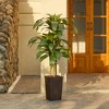 5-6ft UV & Sunproof Artificial Dracaena Tree for Indoor/Outdoor - Faux Silk Plant in Tall Planter, Tall Faux Tree for Home & Garden Decor - 4 of 4