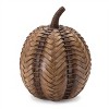 Rustic Pumpkin (Set of 2) - 2 of 3