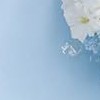 white+blue