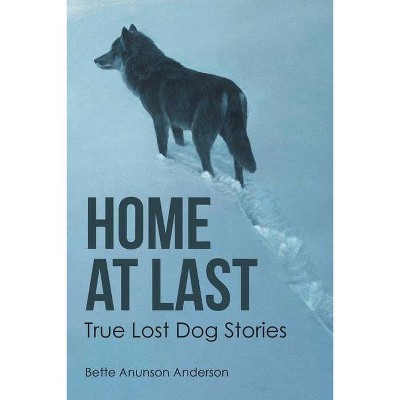 Home at last - by  Bette Anunson Anderson (Paperback)