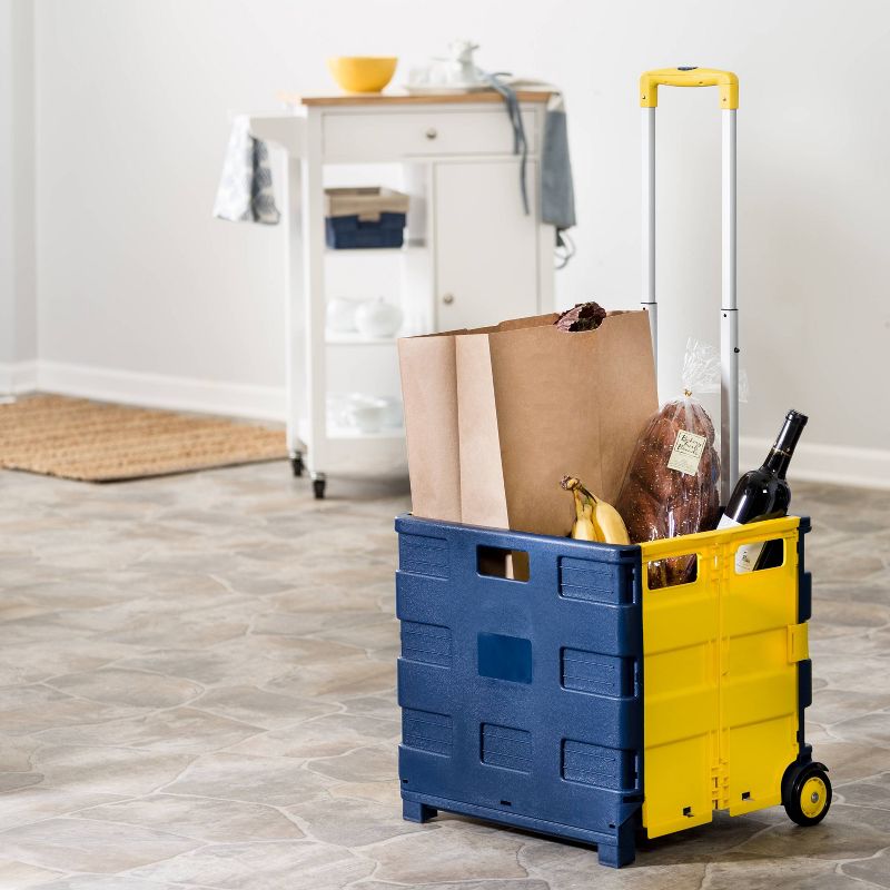 Honey-Can-Do Rolling Folding Carry All Crate, 1 of 4