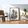 Poster Master Cactaceae of the Boundary - 2 of 2