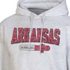 NCAA Arkansas Razorbacks Gray Fleece Hooded Sweatshirt - image 3 of 3