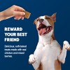 Blue Buffalo All Ages Dog Treat with Chicken & Berry Flavor - 9oz - 4 of 4