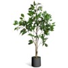 4/5/6/7FT Artificial Ficus Tree with Black Planter - Realistic Wood Trunk, Green Moss & Fruits for Home/Office Decor - 2 of 4