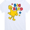 Boys' - Sesame Street - Big Bird Color Block Short Sleeve Graphic T-Shirt - 2 of 4