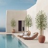 Artificial Olive Tree for Home Decor, Large Faux Potted Plant with Moss Base & Adjustable Branch and Fruits - 2 of 4