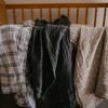 Parker Baby Co. Swaddle Blankets - image 4 of 4