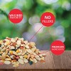 Lyric Fruit and Nut Wild Bird Seed - High Energy Wild Bird Food Mix - Attracts Woodpeckers, Chickadees & Other Songbirds -5 lb. Bag - 3 of 4