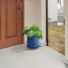 KWPZQEB Set of 2 Ceramic Flowerpot, Indoor Plant Pots with Drainage Hole & Saucer, Flower Pots with Unique Glaze Design for Patio, Garden, Windowsill - 2 of 4