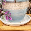 Sunnydaze Outdoor/Indoor High-Fired Glazed UV- and Frost-Resistant Ceramic Flower Pot Planter Saucers - 2-Pack - 4 of 4