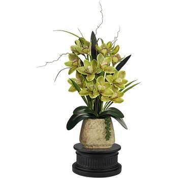 Dahlia Studios Potted Faux Artificial Flowers Realistic Green Cymbidium in Ceramic Pot with Black Riser Home Decor 21 1/2" High