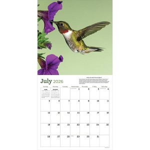 TF Publishing 13.5"x14.5" 2026 Backyard Birds Wall Calendar - 1 of 4