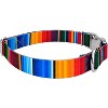 Country Brook Petz Premium Dog Collar - Country and Western Collection - 3 of 4
