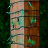 Novelty Lights 35 light T5 Traditional LED Christmas Mini Light Set (Green Wire, 11.5 Feet) - 4 of 4