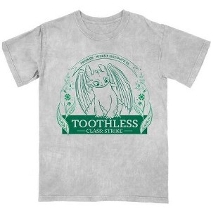 How To Train Your Dragon Toothless Leaf Circle Women’s Gray Mineral Wash Crew Neck Short Sleeve T-shirt - 1 of 1