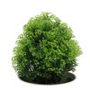 Unique Bargains Artificial Plants Misty Pine Topiary Plastic 3.94"x3.94"x7.48" 1 Pc - 4 of 4