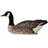 Avian X AXP Lessers : Active Pack of 6 Decoys - 2 of 2