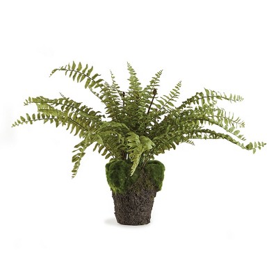 Plum & Post Boston Fern Drop-In 16"