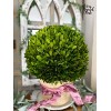 Nearly Natural 15-in Boxwood Ball Preserved Plant in Planter - 3 of 3