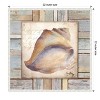 Amanti Art Beach Shell II by Elizabeth Medley Canvas Wall Art Print Framed 22 x 22-in. - 4 of 4
