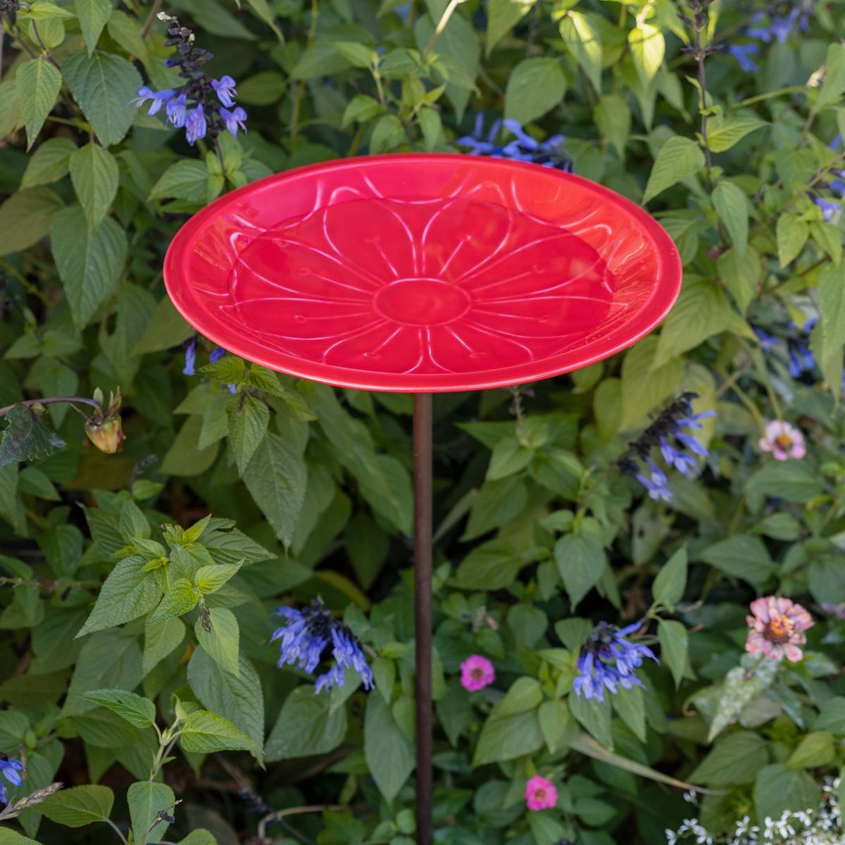 ACHLA Designs 39" Brass Petunia Lolly Bird Bath Pink - thumbnail 2