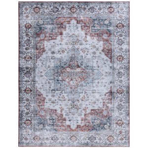 Tucson Vintage Persian TSN105 Power Loomed Machine Washable Skid-Resistant Indoor Rugs - Safavieh - 1 of 4