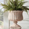 Plum & Post Chesapeake Rattan Footed Urn Wide - Whitewash - 2 of 4
