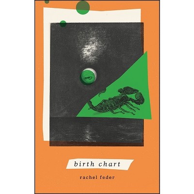 Birth Chart - (Excelsior Editions) by  Rachel Feder (Paperback)