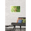 Trends International Fruits Basket - Kyo Soma Framed Wall Poster Prints - 2 of 4