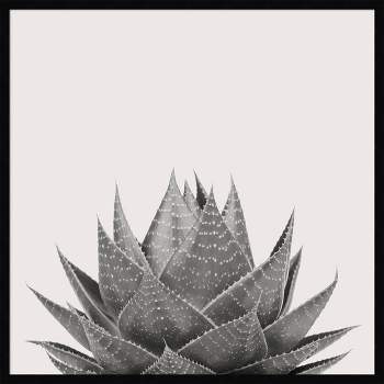 33" x 33" Haze Aloe Succulent by The Creative Bunch Studio Framed Wall Art Print Black - Amanti Art