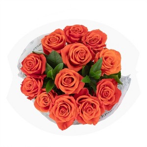 Dozen Fresh Cut Vibrant Roses - 1 of 4