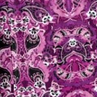 berry mirror paisley