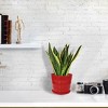 Unique Bargains Home Garden Office Round Shape Plastic Flower Pot - 4 of 4