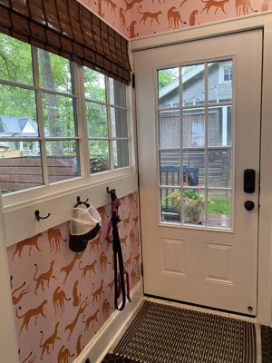 Guest review image 1 of 2, zoom in