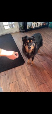 Guest review image 2 of 2, zoom in