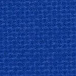 kentucky wildcats