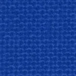 kentucky wildcats