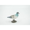 Collectible Wildlife Gifts | Pigeon, Rock Dove, Columba, Museum Quality, Hand Painted, Rubber, Bird, Model,  Toy, Gift,   2 1/2"  CH554 BB161 - 4 of 4