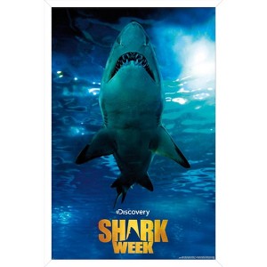 Trends International Shark Week - Smile Framed Wall Poster Prints - 1 of 4